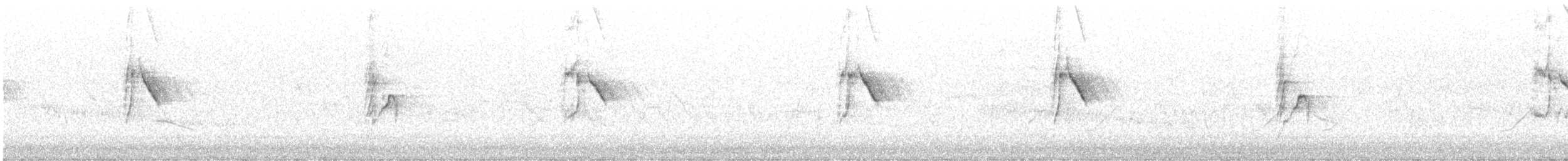konipas luční (ssp. thunbergi) - ML460699381