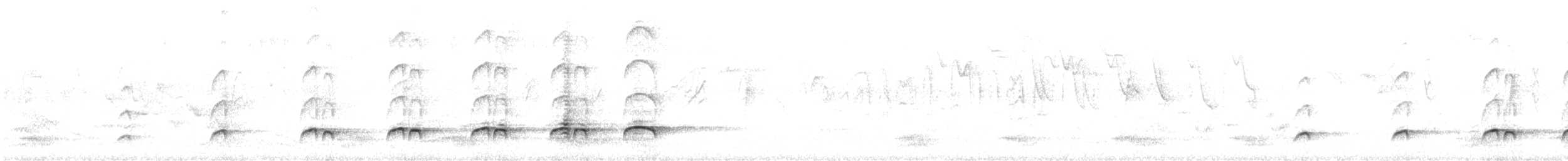 Bright-rumped Attila - ML460769851