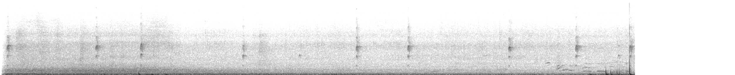 Schmalschnabel-Königstyrann - ML460785701