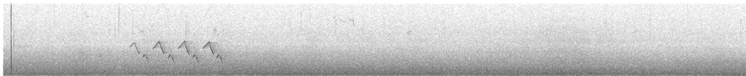 Поплітник каролінський - ML46080721