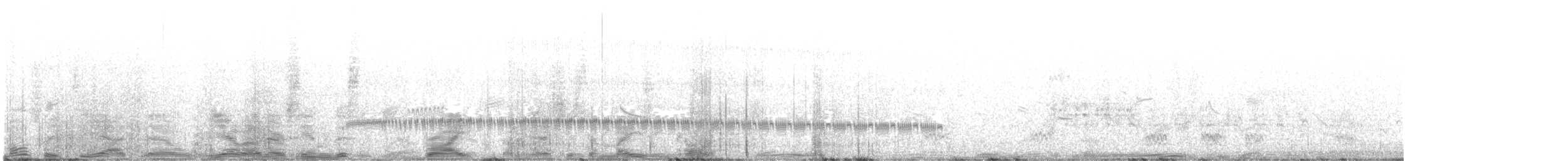 jespák obecný (ssp. pacifica/arcticola) - ML460810591