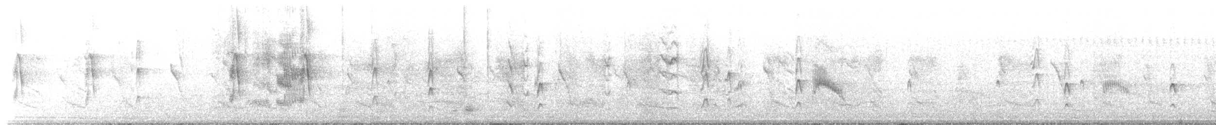 Couch's Kingbird - ML460864711