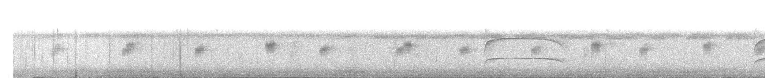 ハジロミドリツバメ - ML460885731
