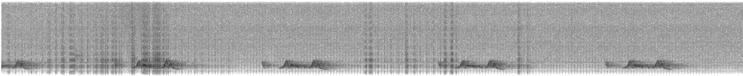 Chuck-will's-widow - ML460902411