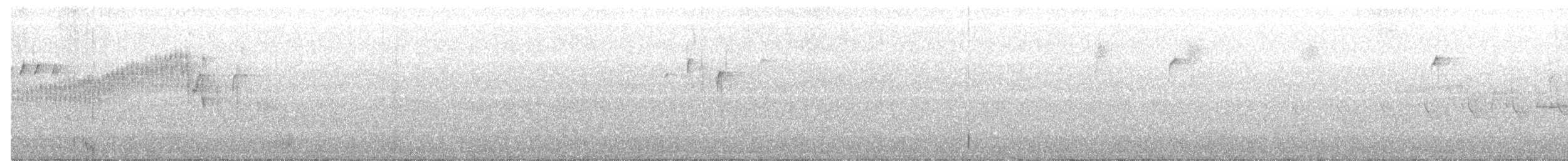 Northern Parula - ML460918631