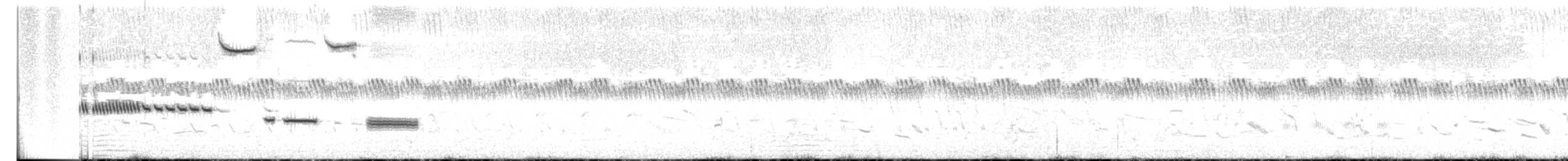 Cassin's Sparrow - ML460947601