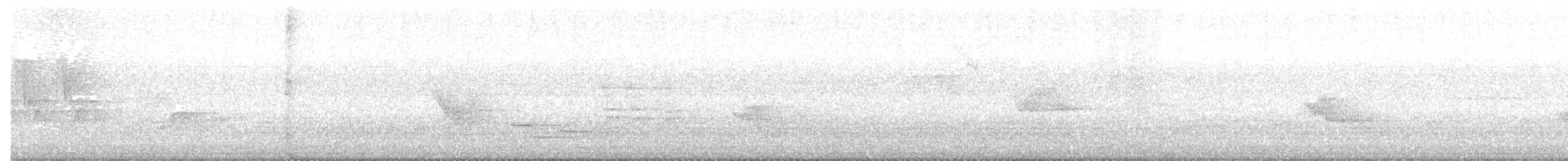 Blue-headed Vireo - ML460958971