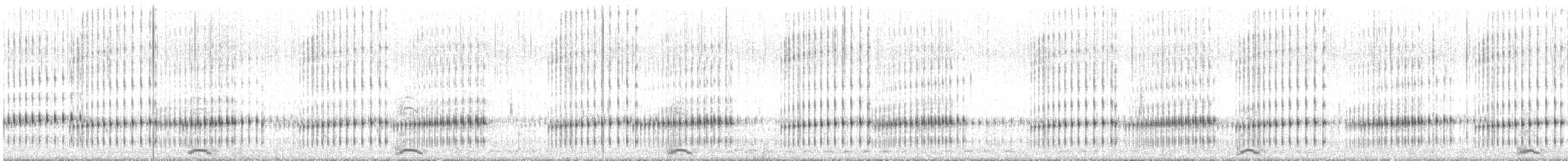Cygne siffleur (columbianus) - ML460963011