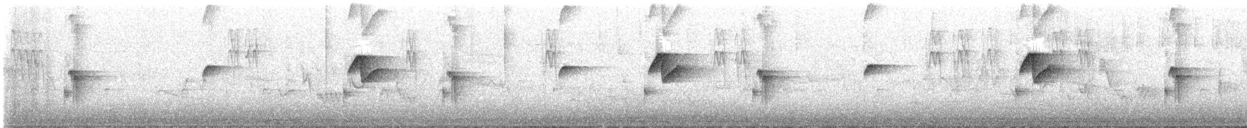 Batı Amerika Sinekkapanı (occidentalis/hellmayri) - ML460973351
