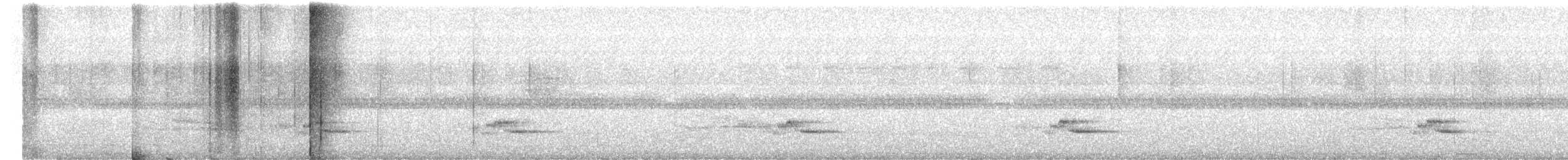 Белобрюхий крапивник - ML460981981