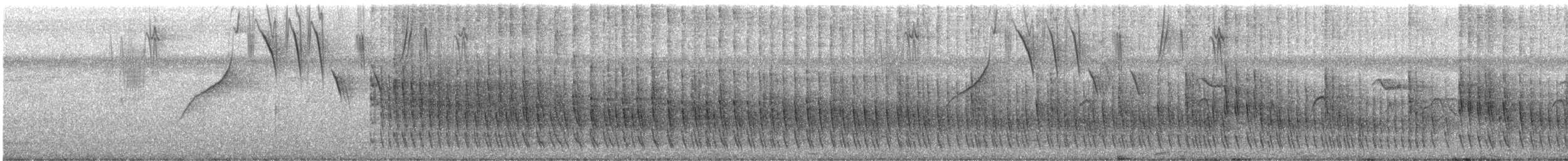 Çizgisiz Yumuşakkuyruk (obidensis) - ML461112341