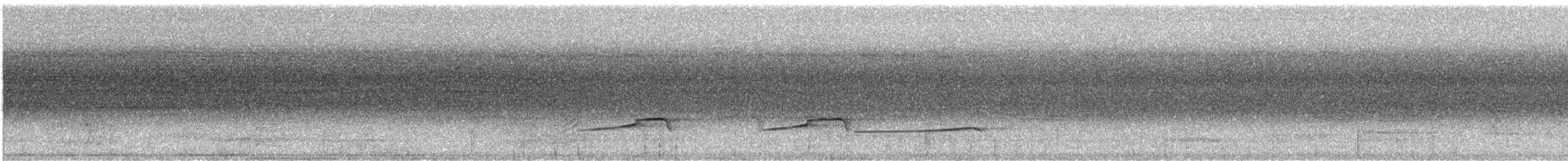 Сероголовая агуйла - ML461115321