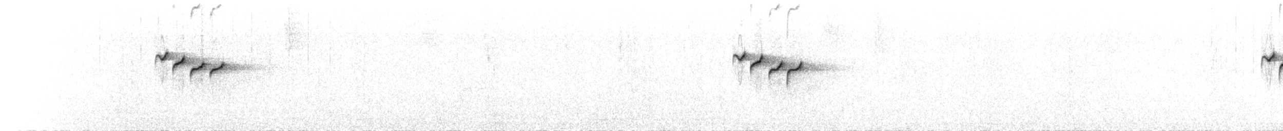 Белокрылая пиранга - ML46121451