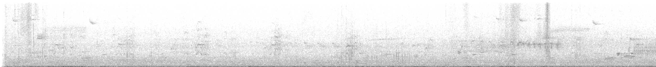 Trauerseeschwalbe - ML461260011