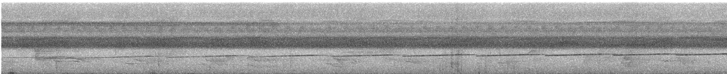 Grisin sanglé - ML461268171