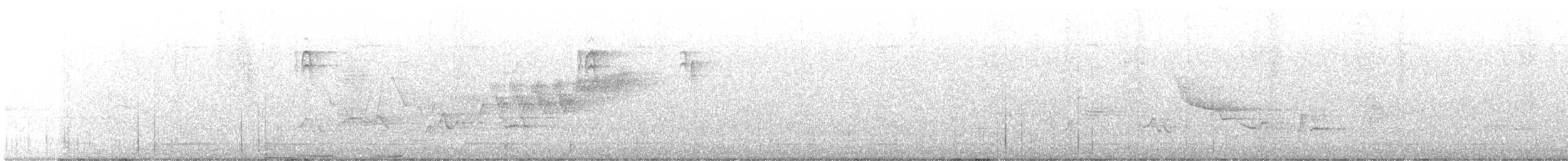 Cerulean Warbler - ML461283811