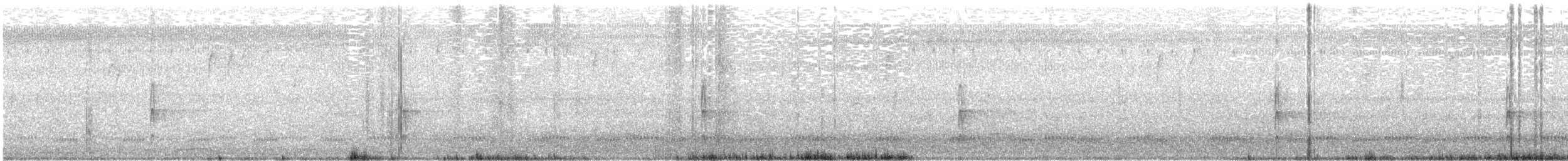 Schmalschnabel-Königstyrann - ML46129281