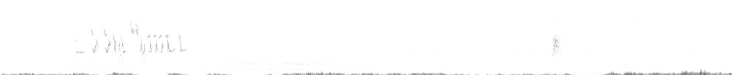 Rostscheitelammer - ML461301491