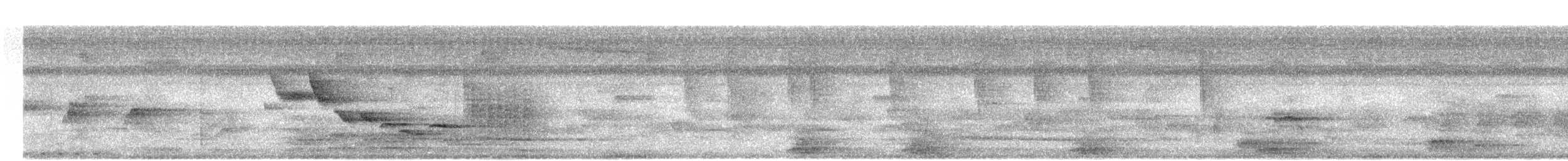 Papamoscas de Manglar (grupo blythi) - ML461306051