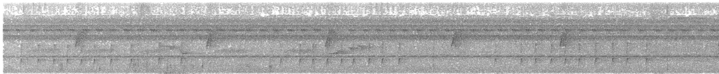 Длиннохохлая чубатка - ML46131201