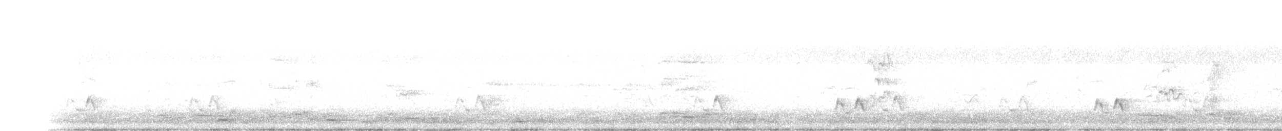Streifenpanthervogel - ML461316531