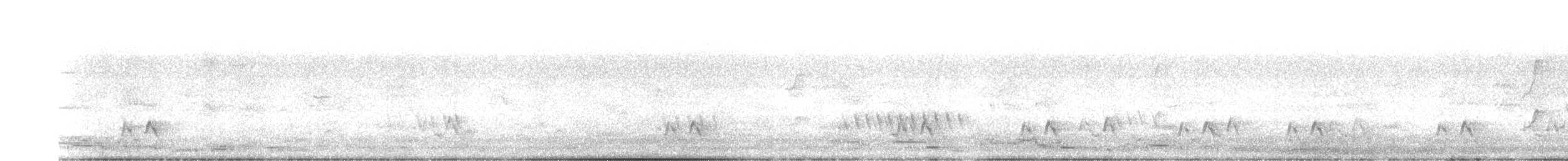 Streifenpanthervogel - ML461316541