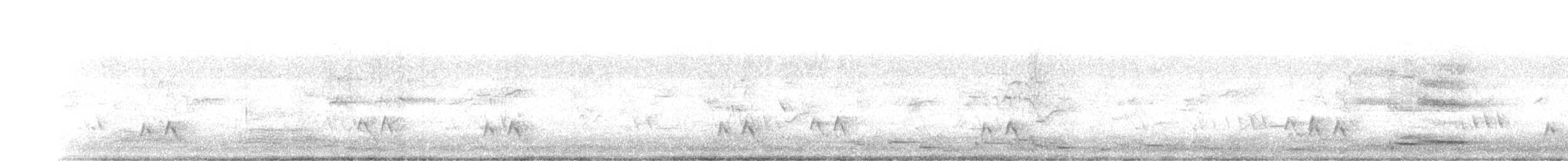 Streifenpanthervogel - ML461316551