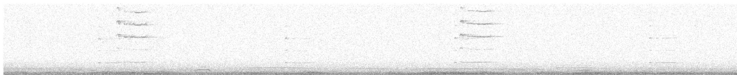 Сова вухата (підвид otus/canariensis) - ML461319731