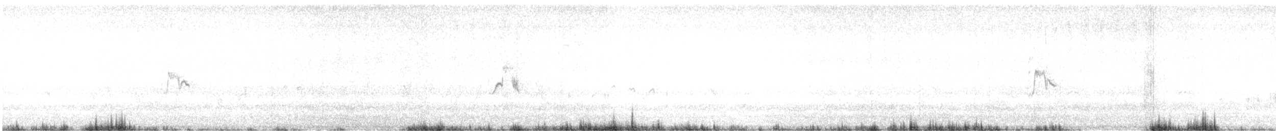 Lavandera Boyera - ML461328211