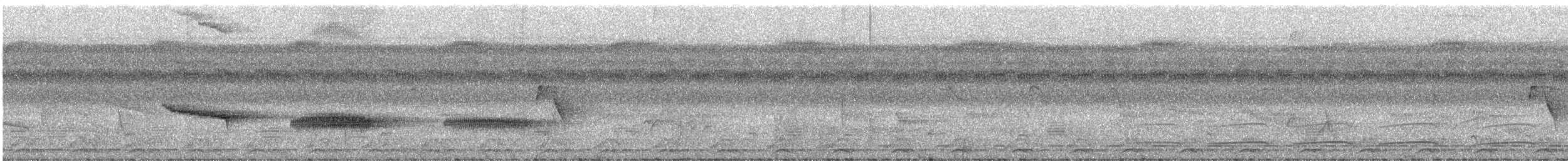 Чернопятнистая гологлазка - ML461340351