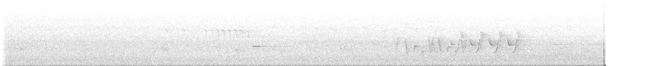 Paruline à gorge grise - ML461352021