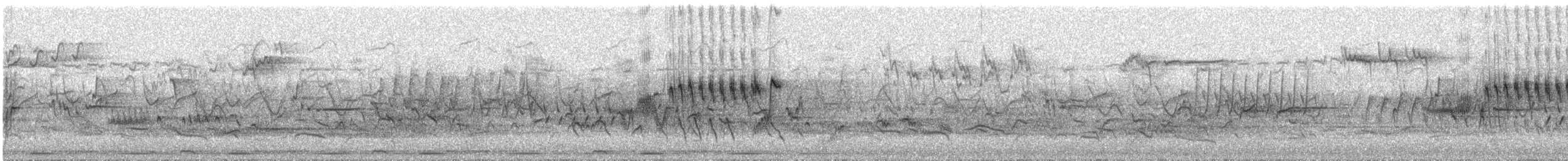 חכלילית סלעים - ML461359301