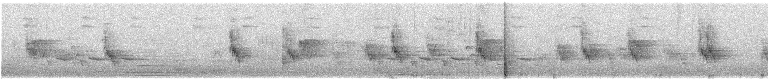 Carolinazaunkönig - ML461477651