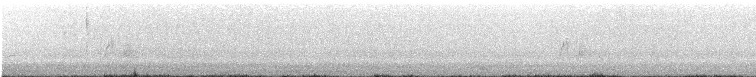 tyranovec vrbový - ML461507811
