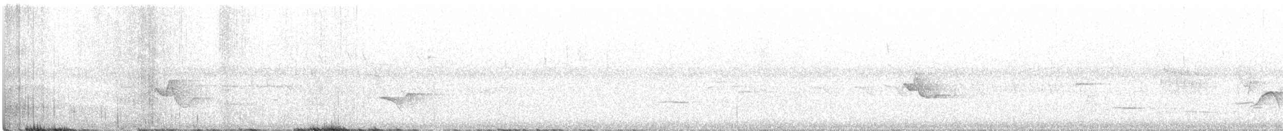 zelenáček brýlový - ML461542201