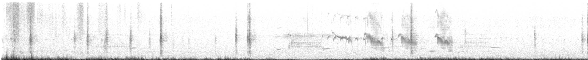 שחרורית אדומת-כנף - ML461543751