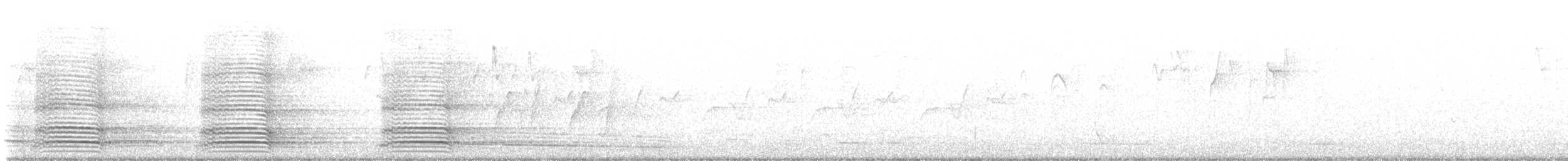 Australian Raven - ML461558951