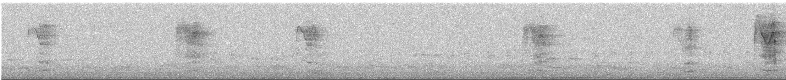 Urubi arrunta - ML461635831