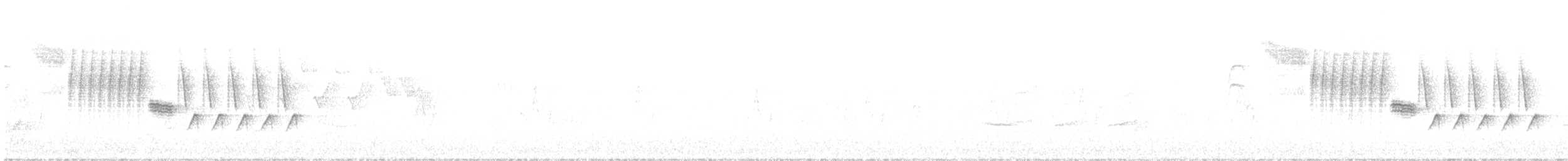 Troglodyte de Bewick - ML461650191