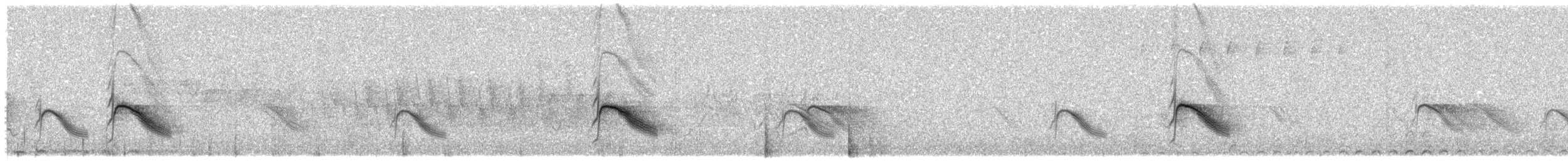 Gray-cheeked Thrush - ML461657081
