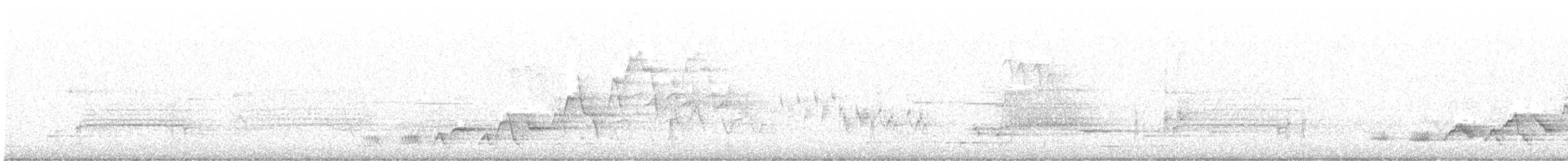 Дрізд-короткодзьоб Cвенсона - ML461692931