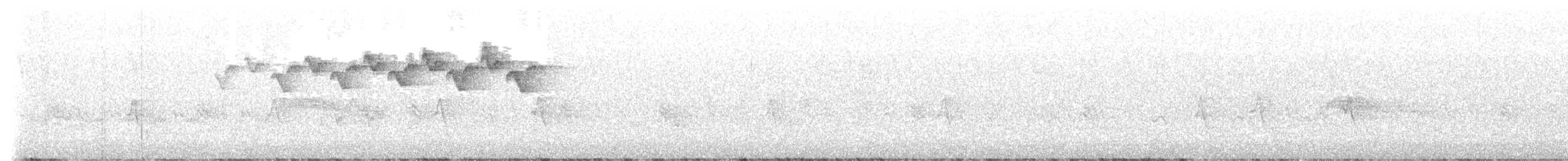 lesňáček černobílý - ML461701771