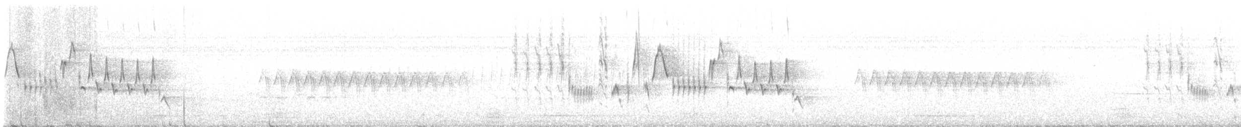 Northern House Wren - ML461725491