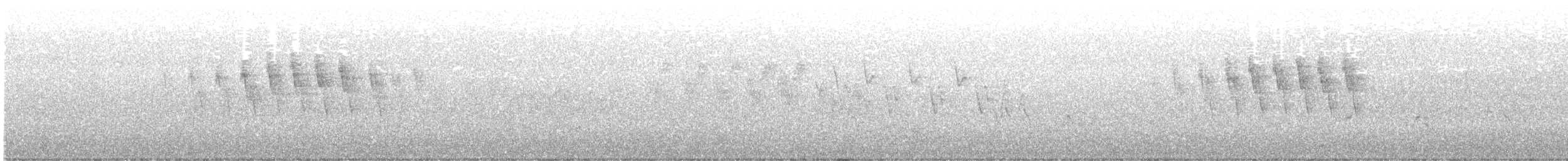 Paruline à calotte noire - ML461747371