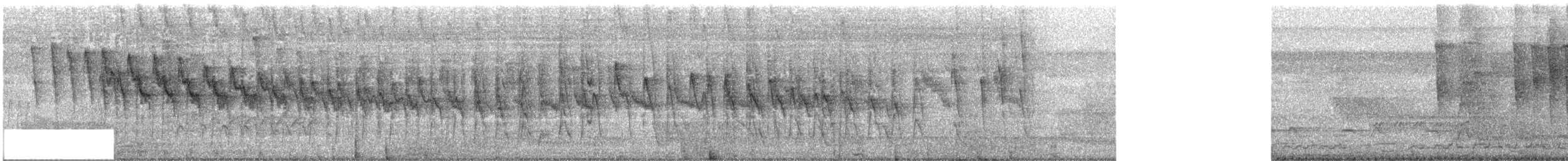 skjellstifthale - ML461787291