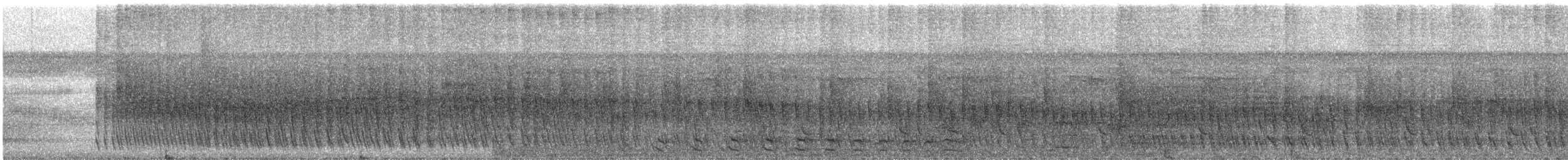 Çizgisiz Yumuşakkuyruk (obidensis) - ML461787871