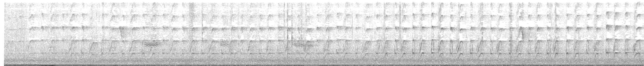australtjeld - ML46179051