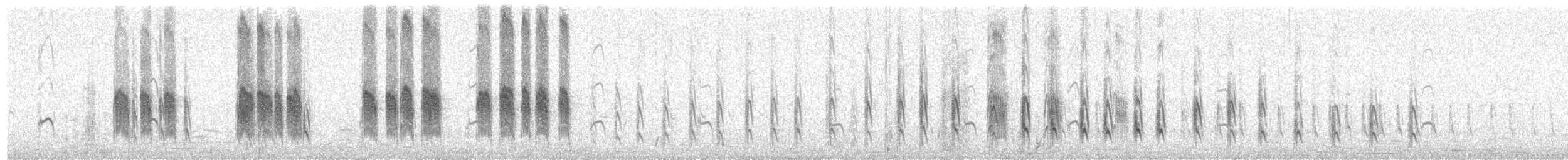 krokodillevokter - ML461838081