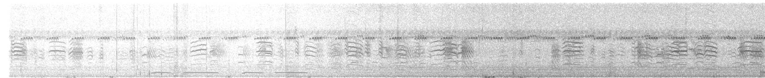 Zebra İspinozu (castanotis) - ML461847401