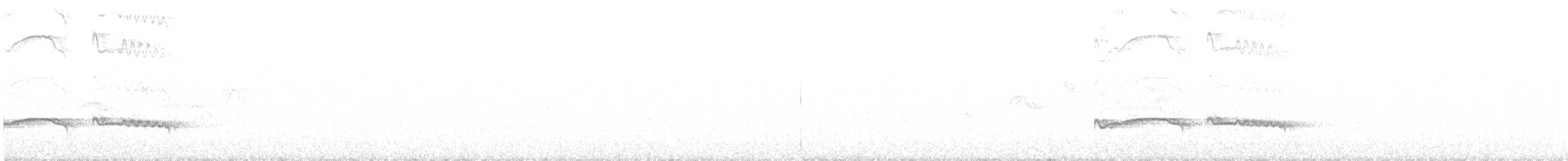 Höhennachtschwalbe [ruwenzorii-Gruppe] - ML461871741